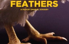 羽毛 Feathers【2021】【剧情】【埃及】【WEBRip】【中文字幕】