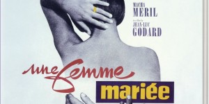 已婚女人/恋爱时间.Une.Femme.Mariee.1964.720p.BluRay.x264-CiNEFiLE