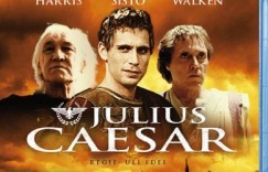 凯撒大帝/凯撒传.Julius.Caesar.2002.720p.1080P.BluRay.x264-iFPD
