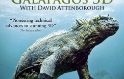 加拉帕戈斯.Galapagos.With.David.Attenborough.2013.720p/1080p.BluRay.x264-SHORTBREHD