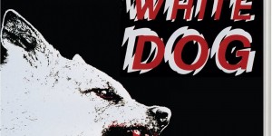 白狗/魔犬(台).White.Dog.1982.720p/1080p.BluRay.x264-PublicHD