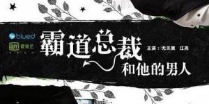 霸道总裁和他的男人 【2015】【爱情 / 同性】【中国大陆】