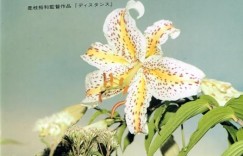 距离 ディスタンス 【2001】【剧情】【日本】【蓝光】【中文字幕】