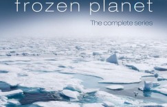冰冻星球 第一季 Frozen Planet Season 1【2011】【纪录片】【全07集】【英剧】【中英字幕】