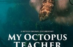 我的章鱼老师 My Octopus Teacher【纪录片】【2020】【南非】【WEBRip】【中英字幕】