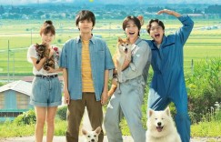犬部!Inubu【2021】【剧情】【日本】【WEBRip】【中文字幕】