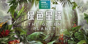 绿色星球 The Green Planet【2022】【全05集】【纪录片】【英剧】【中英字幕】
