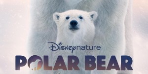 北极熊 Polar Bear【2022】【纪录片】【美国】【WEBRip】【中英字幕】