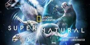 超/自然 Super/Natural【2022】【纪录片】【全06集】【美剧】【中英字幕】