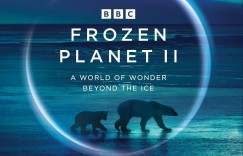 冰冻星球 第二季 Frozen Planet Season 2【2022】【全06集】【纪录片】【英剧】【中英字幕】