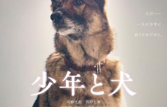 少年与犬 少年と犬【2025】【剧情】【日本】【WEBRip】【中文字幕】