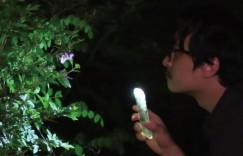 大自然对你说了什么 그 자연이 네게 뭐라고 하니【2025】【剧情】【韩国】【WEBRip】【中文字幕】